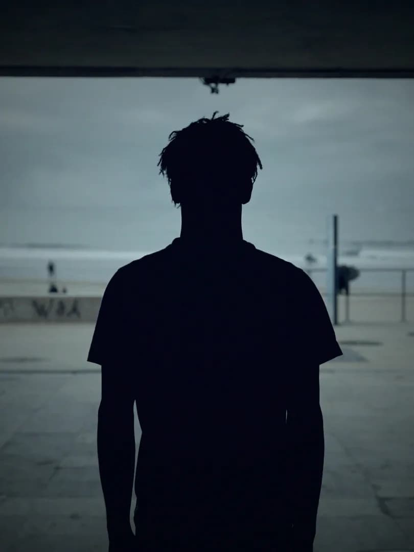 A man in silhouette against a pale sky, graded in the series' blue.