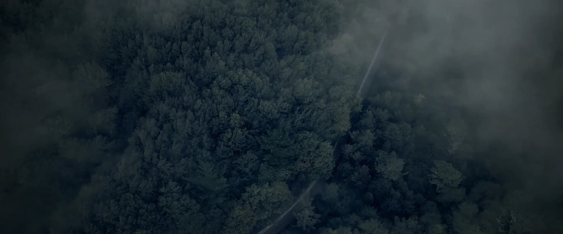 Aerial view of a thin road winding through a forest swallowed by fog.